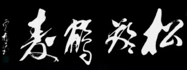 鷨ٽ鷨