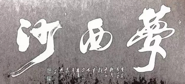 鷨ٽ鷨