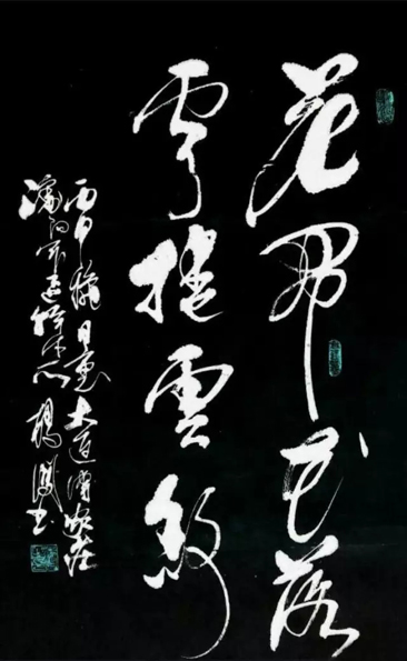 鷨ٽ鷨
