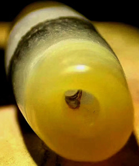  ʥб Ե˼丣