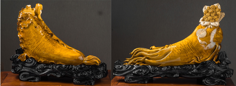 ��������