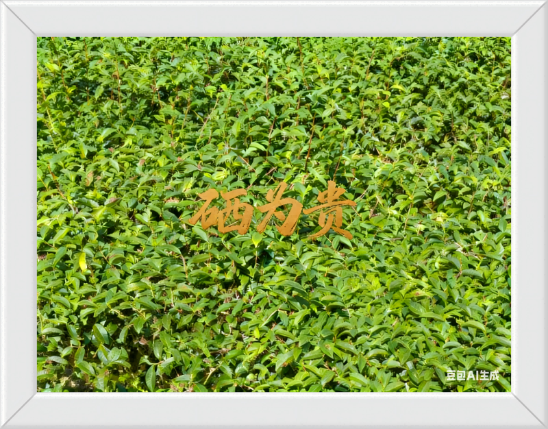 �� �� �� ��