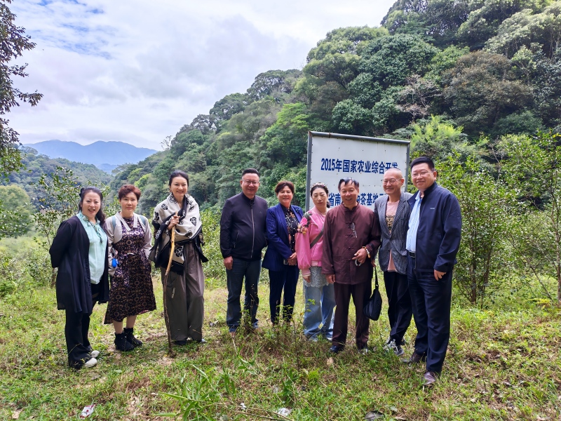 �Ǹ���ʤ������ ��̬����Ʒ������������ɽԭʼ��̬���Ļ�����������ʵ