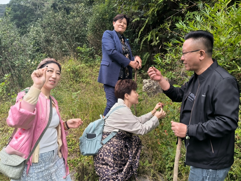 �Ǹ���ʤ������ ��̬����Ʒ������������ɽԭʼ��̬���Ļ�����������ʵ