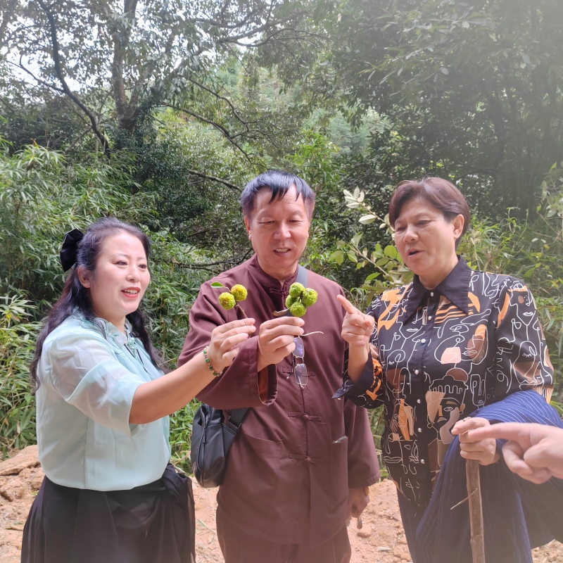 �Ǹ���ʤ������ ��̬����Ʒ������������ɽԭʼ��̬���Ļ�����������ʵ