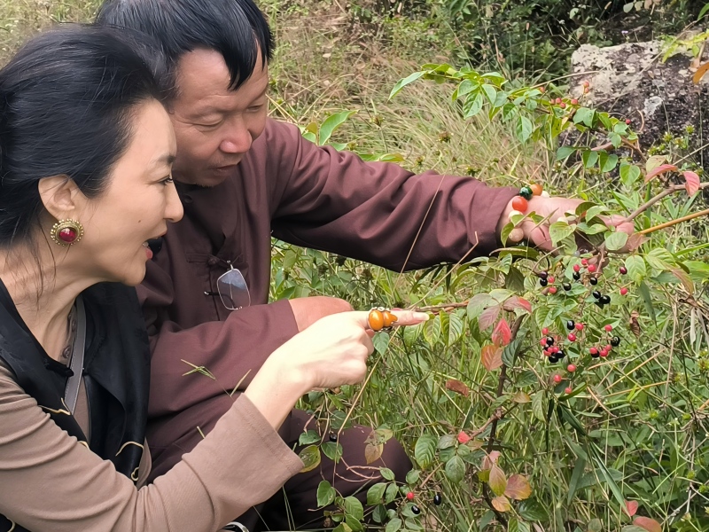 �Ǹ���ʤ������ ��̬����Ʒ������������ɽԭʼ��̬���Ļ�����������ʵ