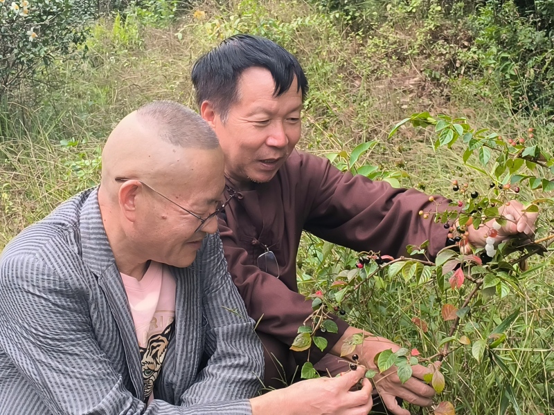 �Ǹ���ʤ������ ��̬����Ʒ������������ɽԭʼ��̬���Ļ�����������ʵ